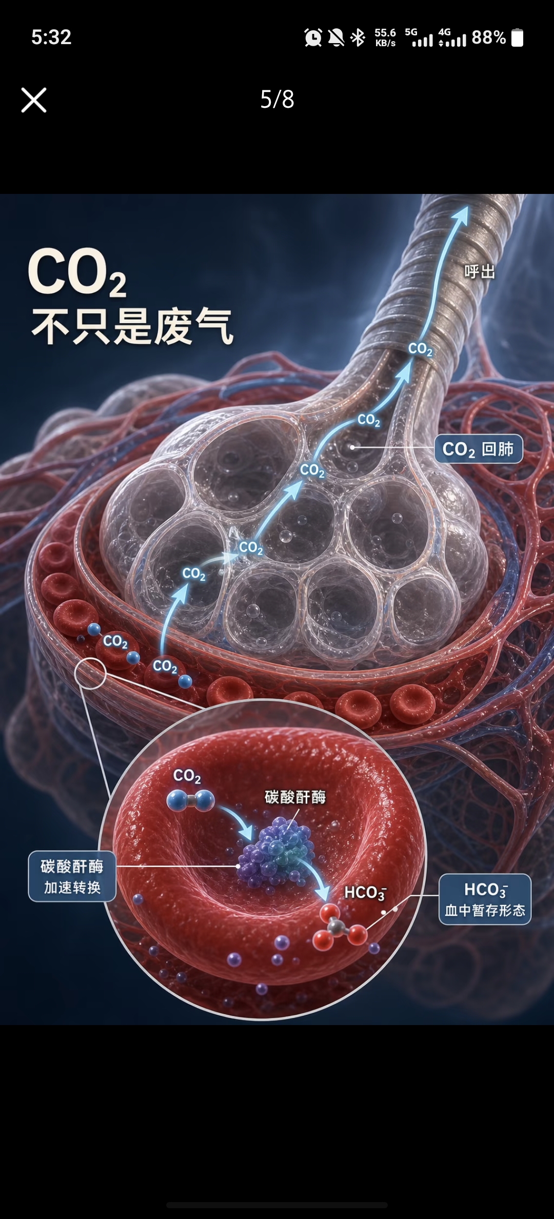 CO₂不只是废气