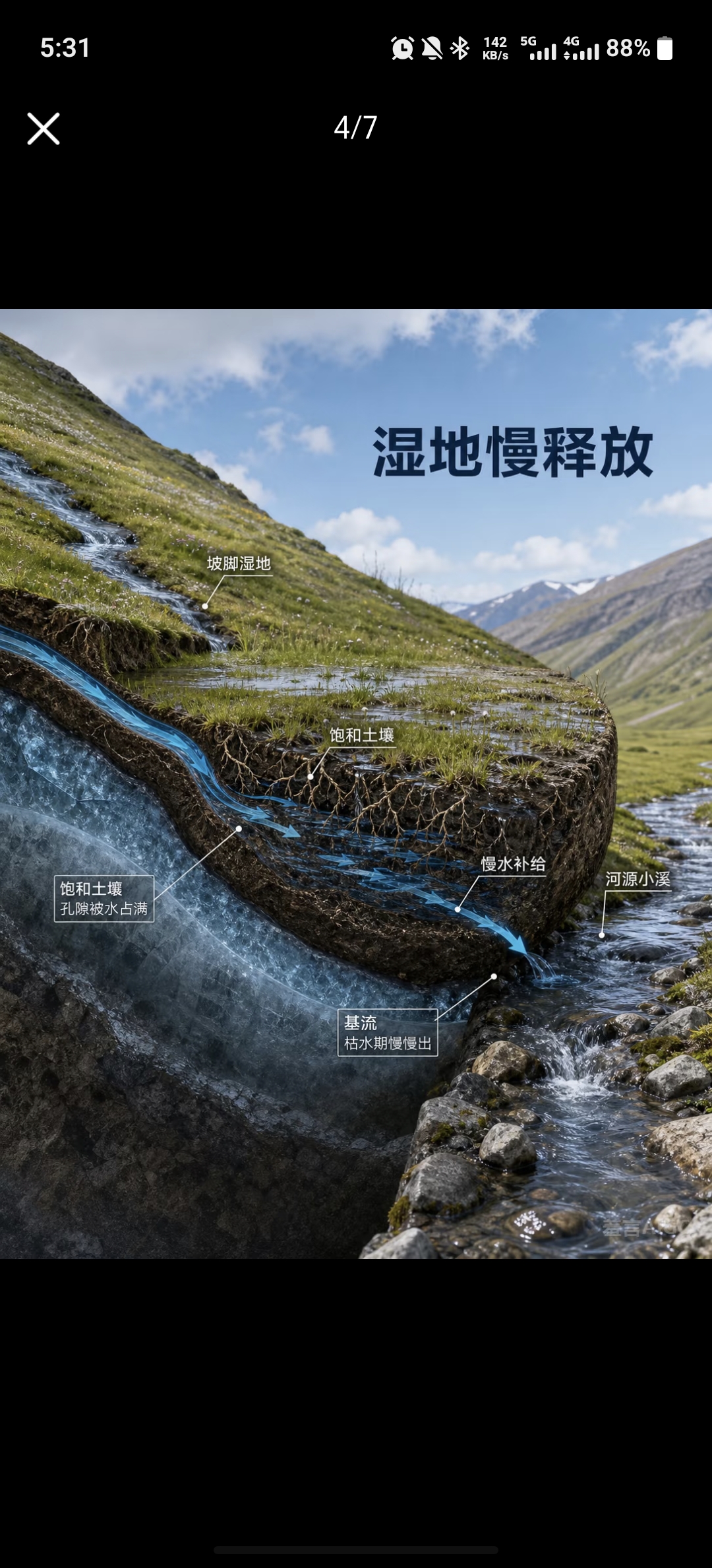 湿地慢释放